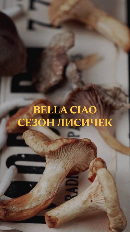 Сезон лисичек в “Bella Ciao”, успей …