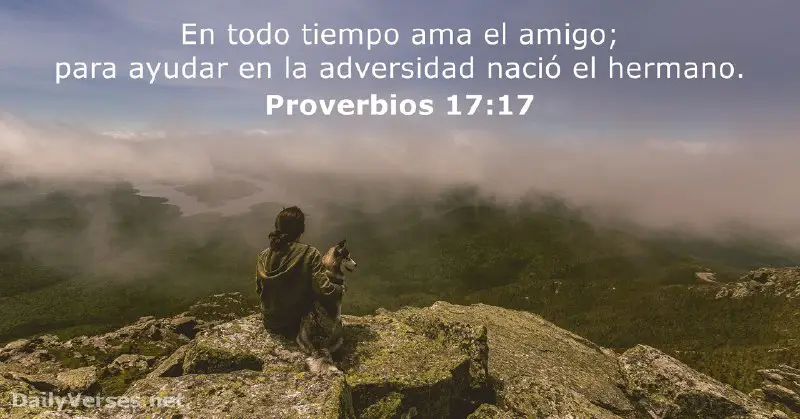 [***💗******💫***18 Versículos de la Biblia sobre Amistad](https://dailyverses.net/es/amistad)