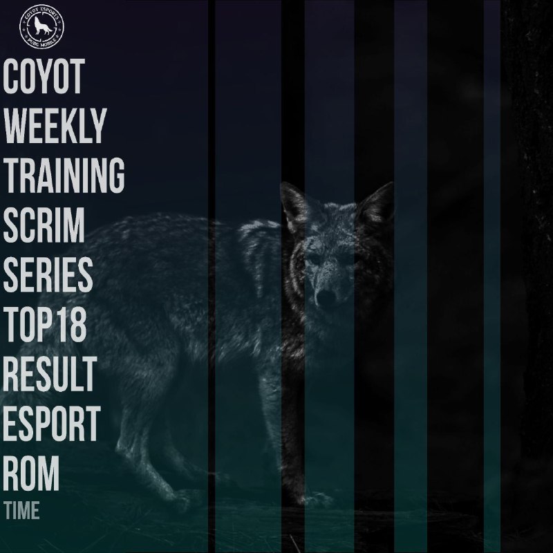 ***🐺*****COYOT TRAINING Scrim*******🗓*******Date:8Dec*******⏳*******Time:17:30*******💰*******Prize:300**