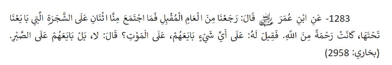 *****?***بيعت بر عدم فرار از ميدان …