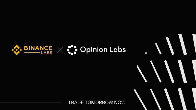 Opinion Lab