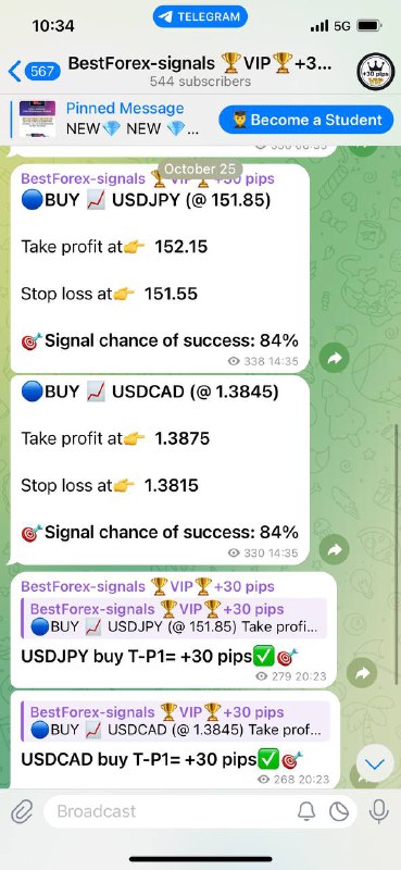 🆓BestForex-signals channel