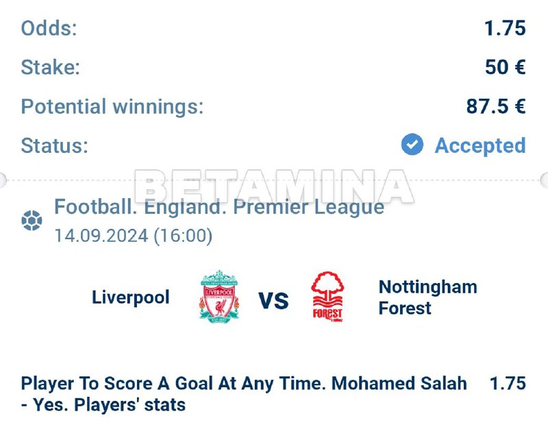 *****⚽️***Football. England. Premier League