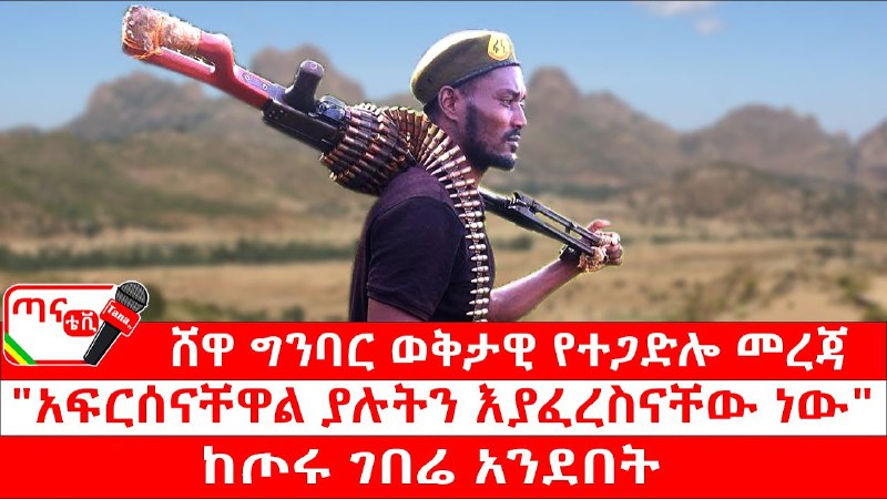 **ፋኖን ከፋፋይ እና ትግሉን የግለሰቦች የስልጣን …