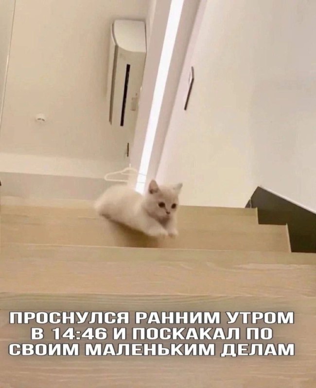 Это вам