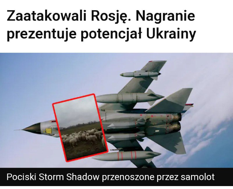 Najbardziej mnie wkurwiają podwójne standardy.