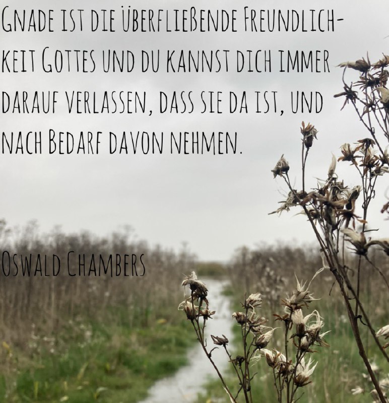 ✨Bibelverse&Zitate✨