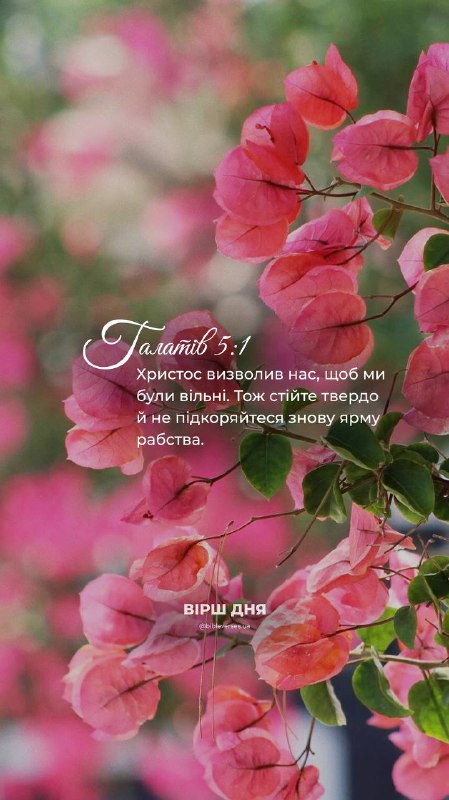 Bible Verses 🕊️