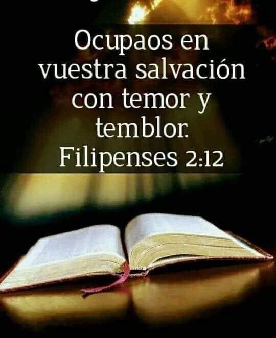 ***📖*** [BIBLIA](https://t.me/Biblia_Solo_Biblia)