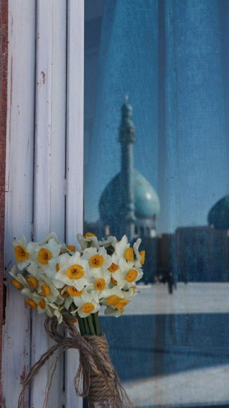 **اسعد الله ایامکم***✨*****
