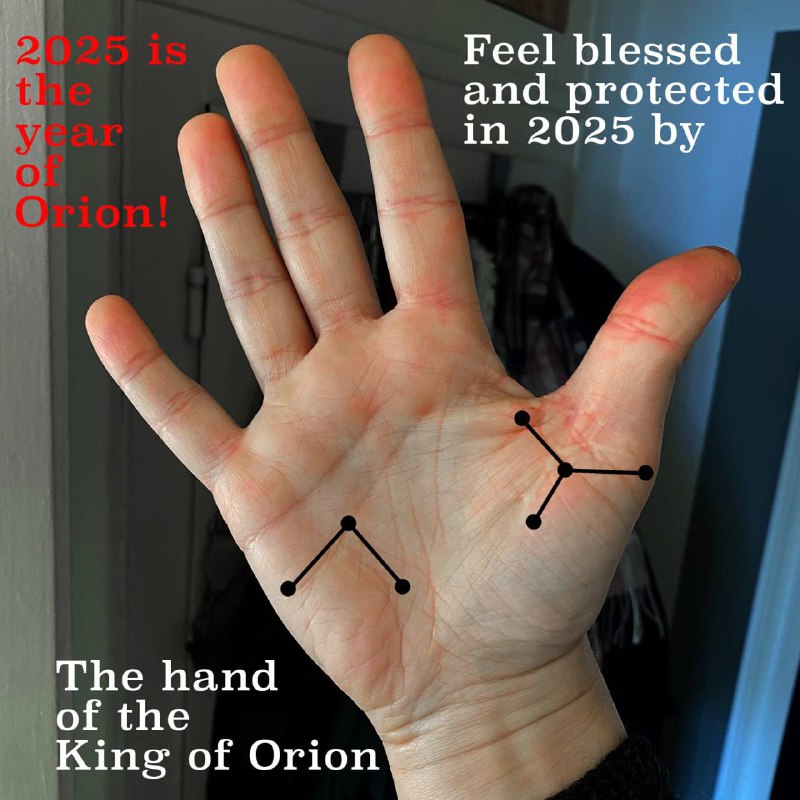 2025 is the year of Orion! …