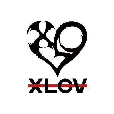 «XLOV», новая мужская группа из 4 …