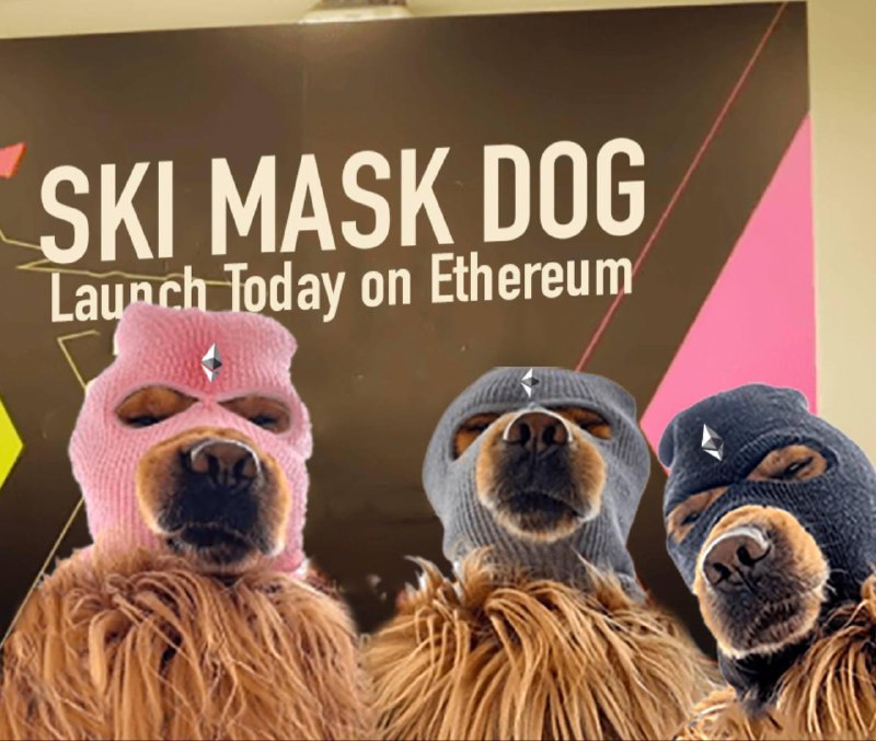 Ski Mask Dog ( ETH ) …