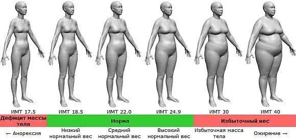 **Как рассчитать индекс массы тела*****??***