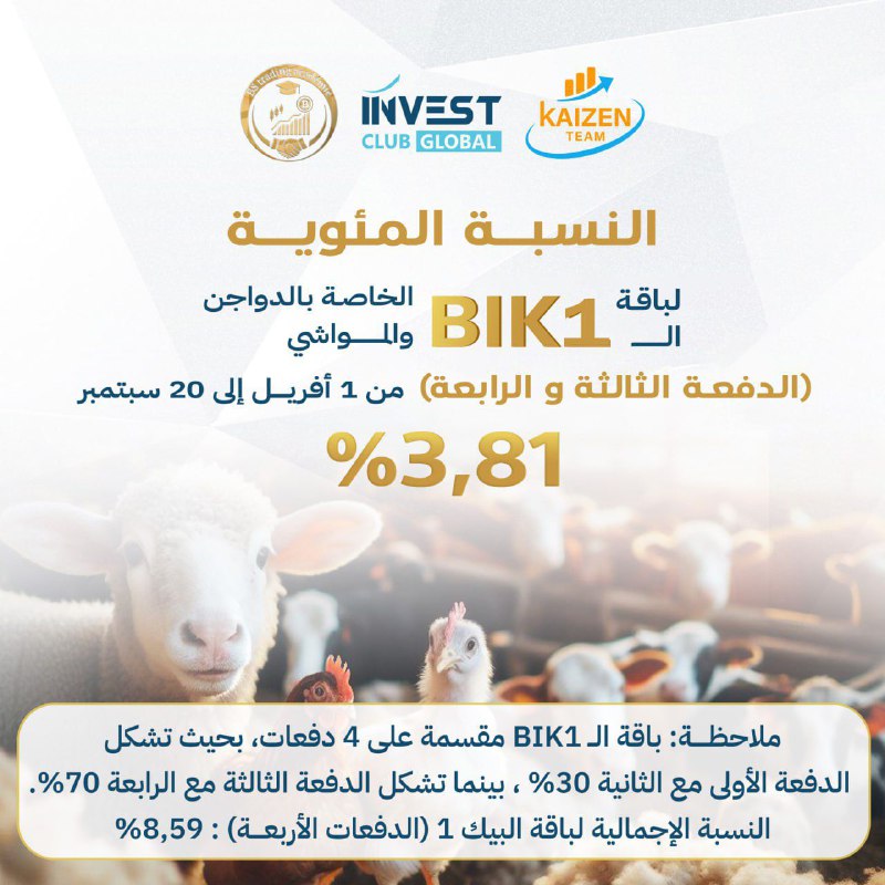 النسبة المئوية لباقة BIK 1 :