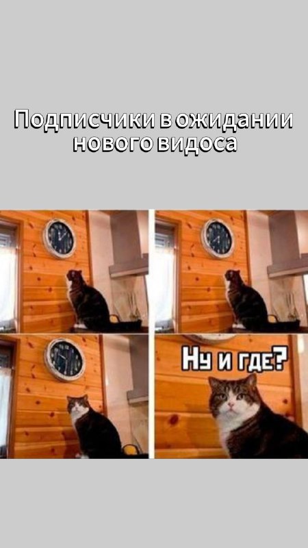Новинки из BIM WorkShopp корзинки