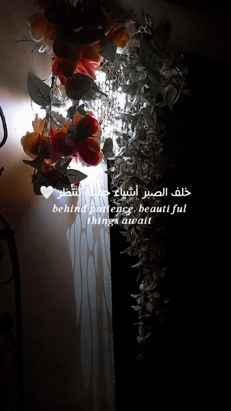 كิلཻ شي᪸᪰ء مຼرٰي᪸᪰ح᪽ 🌸💜❥˓