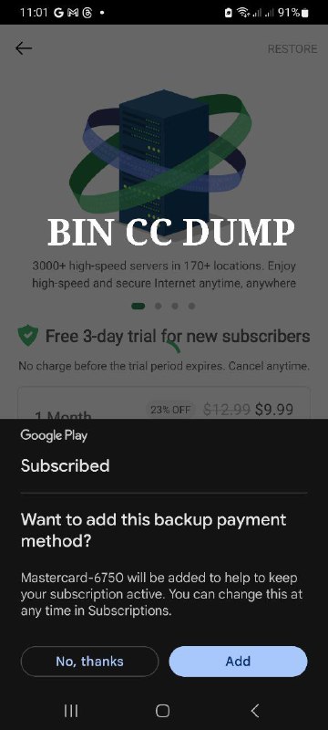 BIN CC Dump