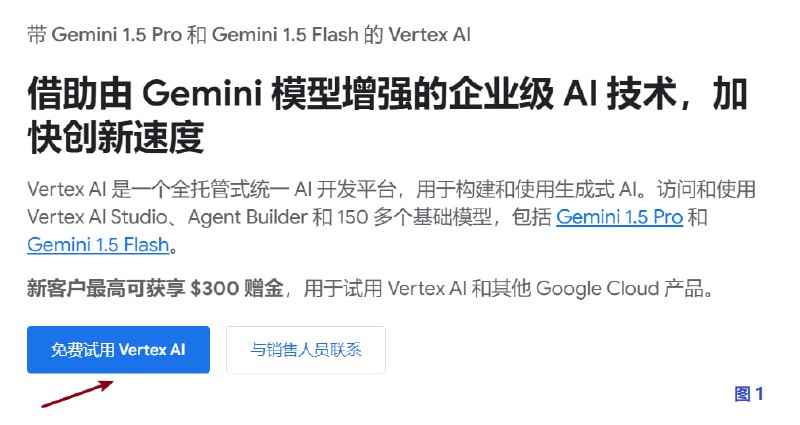 Google Cloud 通过Vertex AI获取150美元赠金，有效期3个月（PS：今天好多群里卖20元一个）