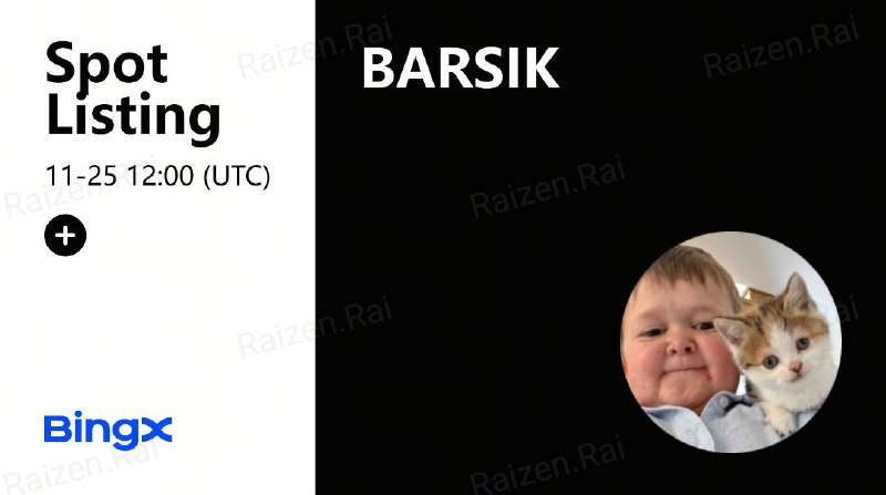 **Hasbulla's Cat (BARSIK) Coin Will Be …