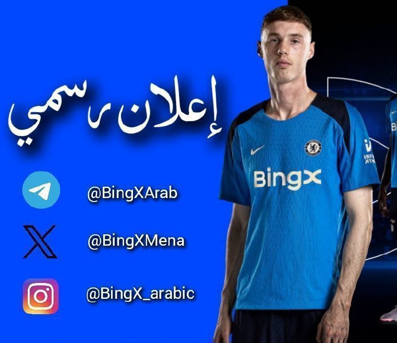 مستخدم BingX العزيز،