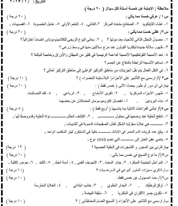 الست نضال طاهر المندلاوي لأحياء السادس …