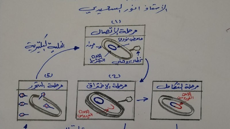 قناة تعليم الرسم للسادس العلمي