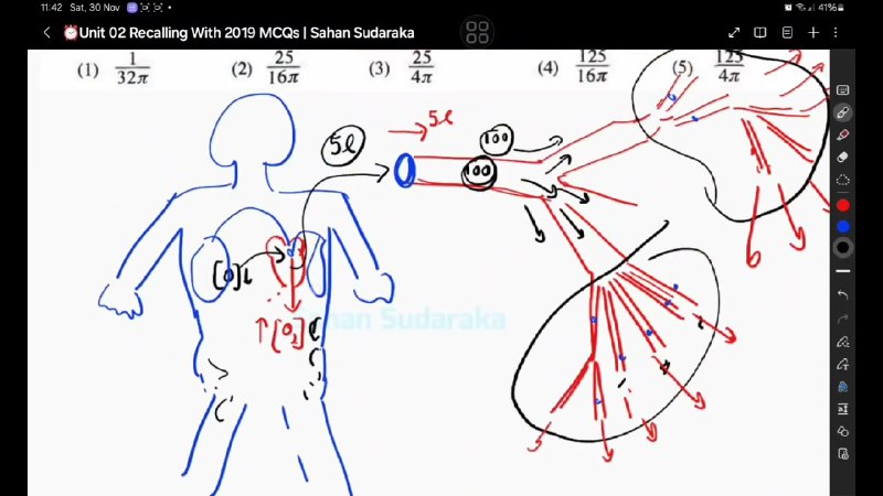 හෘදයෙන් රුධිරය විදින 2019 MCQ No.28