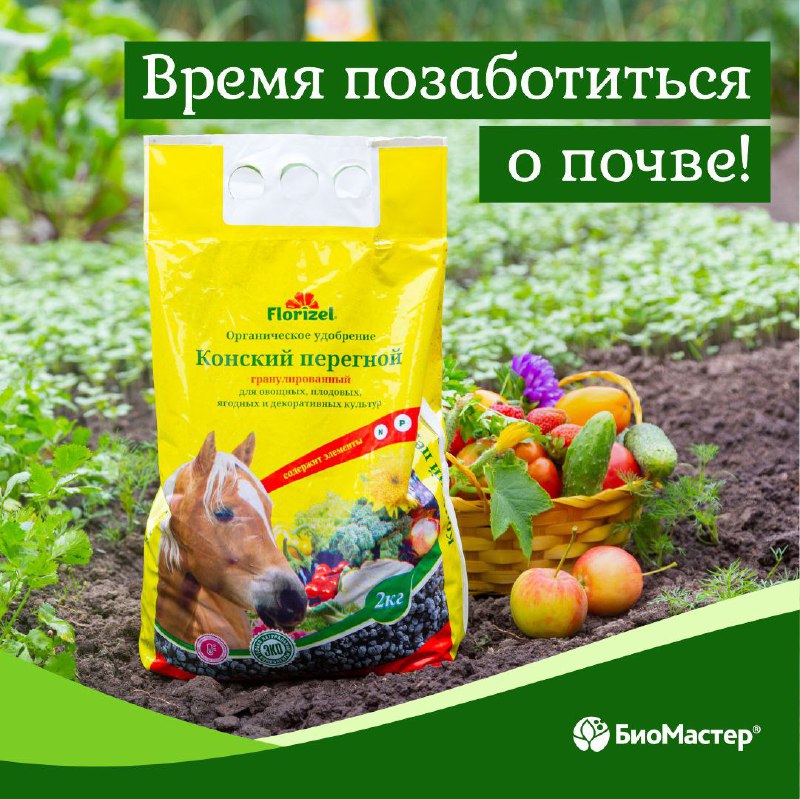 [​](https://telegra.ph/file/8d906f7da9db7dbc5260e.jpg)***🍀*** ОСЕНЬ – ВРЕМЯ ПОЗАБОТИТЬСЯ О …