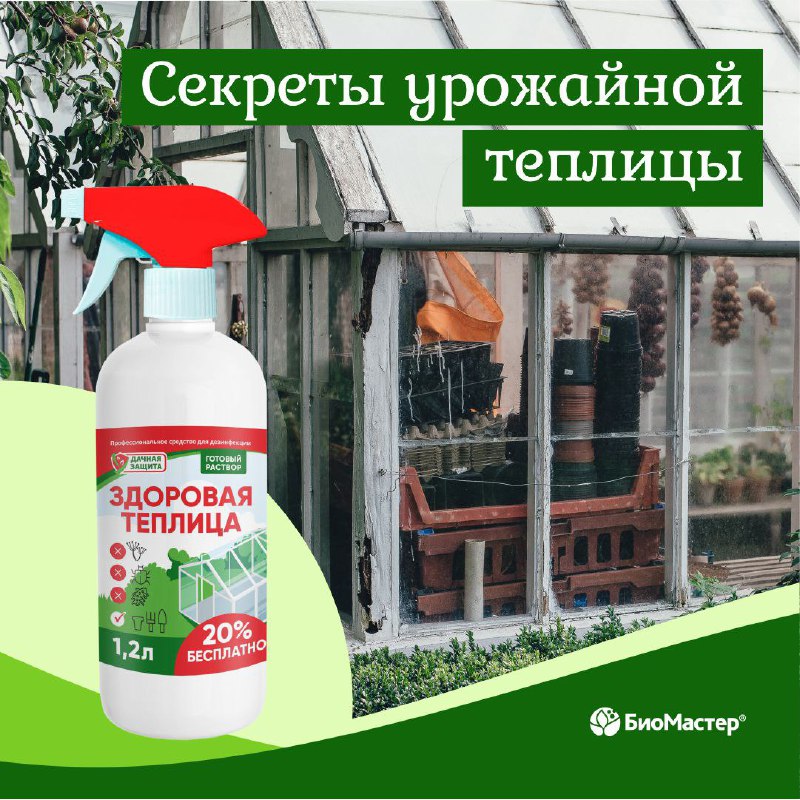 [​](https://telegra.ph/file/ae3e291e986aef9f1e106.jpg)СЕКРЕТЫ УРОЖАЙНОЙ ТЕПЛИЦЫ ***🌿***