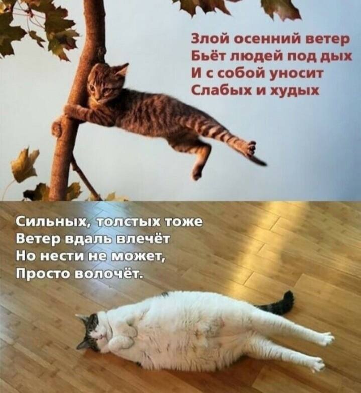 Немного наблюдений из жизни)