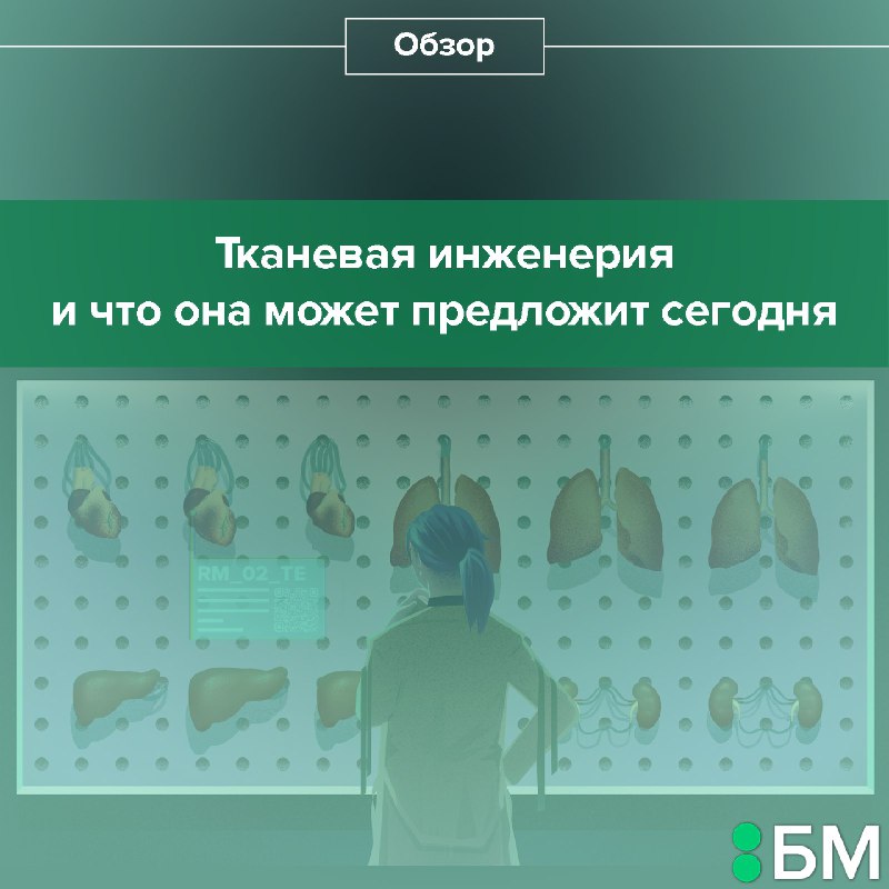 [​​](https://telegra.ph/file/d3f9d14bd9903ec1f9540.jpg)Две с половиной тысячи лет назад …