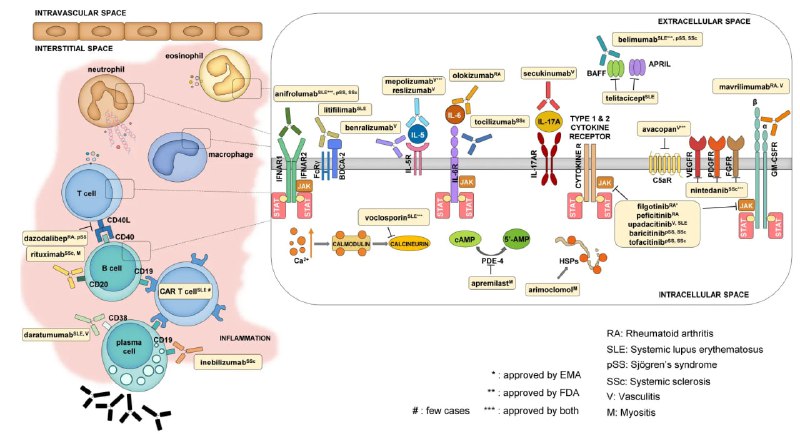 BioMoment-Immunology