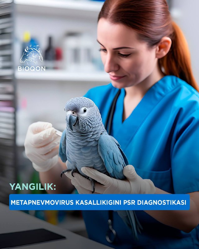 *****📢******📢*** Bioqon laboratoriyasida yangilik.**