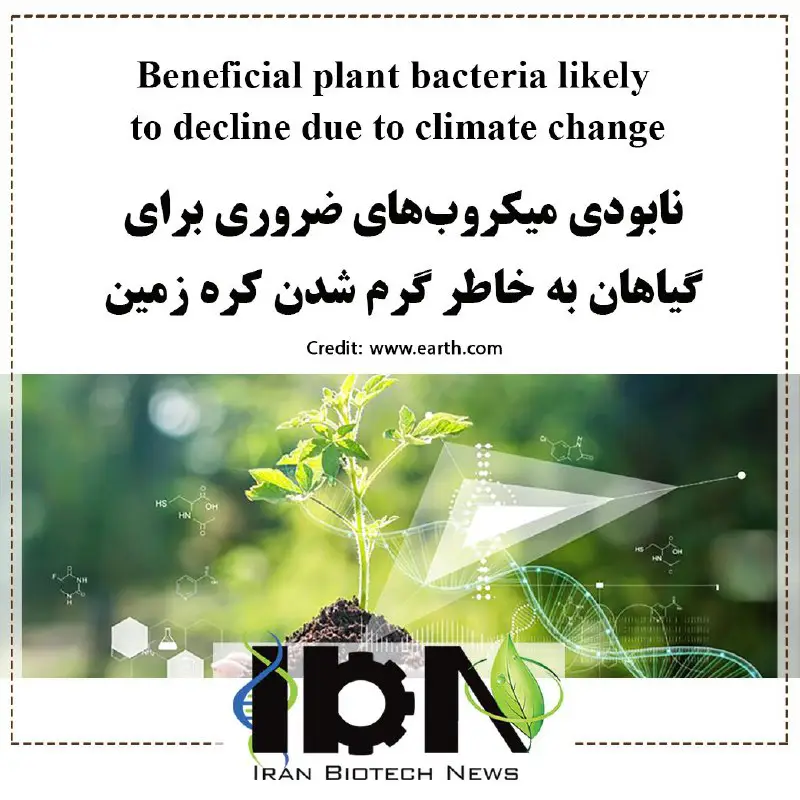 Iran Biotech News (IBN)