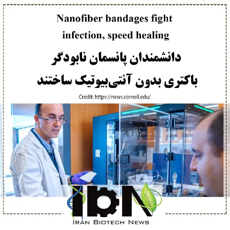 Iran Biotech News (IBN)