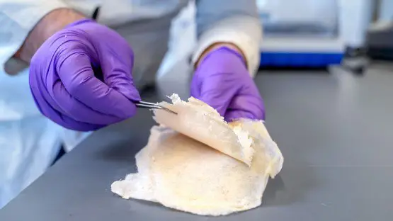 ساخت پانسمان نابودگر باکتری بدون آنتی‌بیوتیک