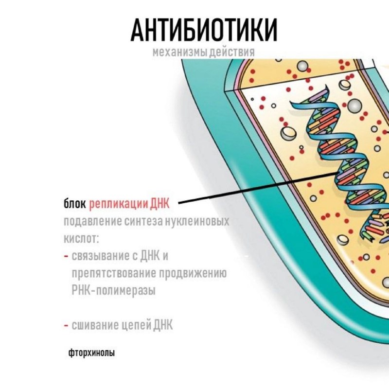 Biology