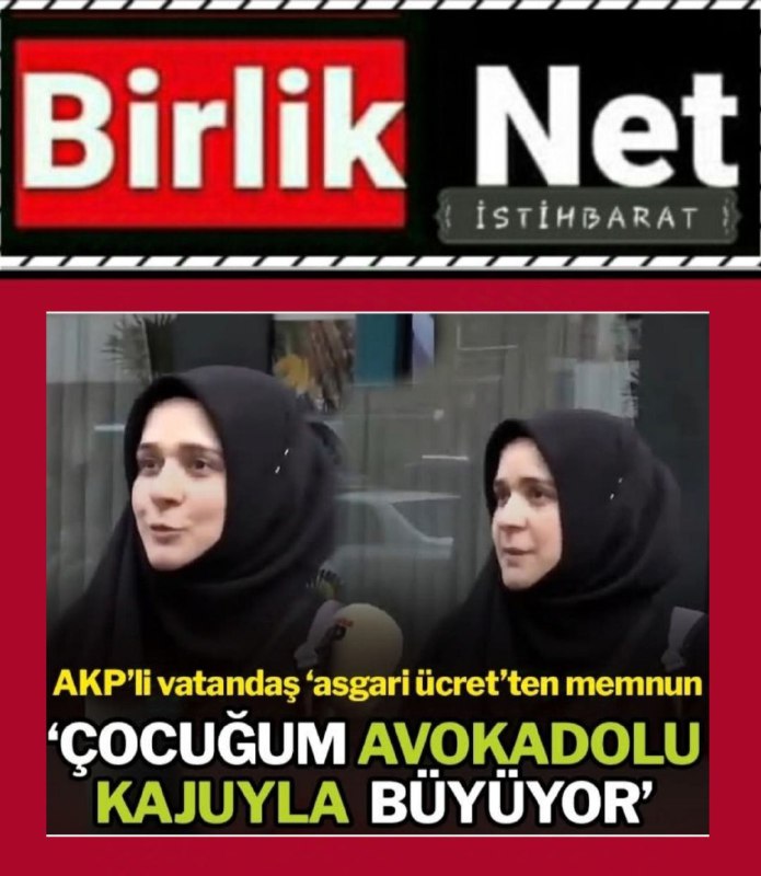 🌏 BirlikNET