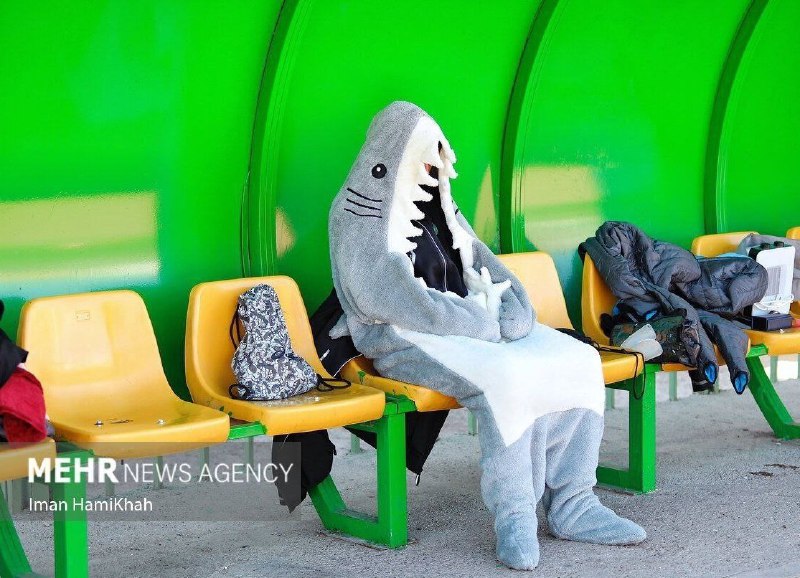 بانوان توی هر زمینه ای خاص …