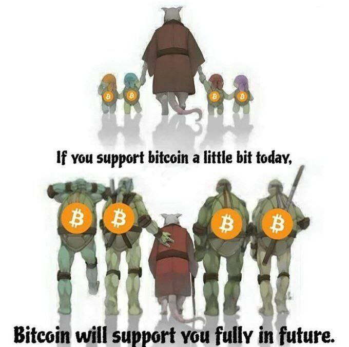 [@Bitcoin\_Crypto\_Memes](https://t.me/Bitcoin_Crypto_Memes)