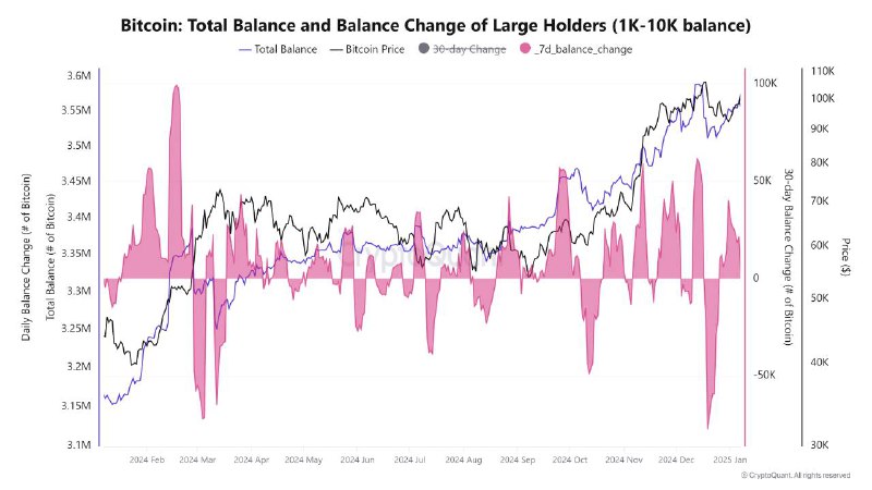 ***🔥*** **INSIGHT:** *****💰***** **Bitcoin whales have** …