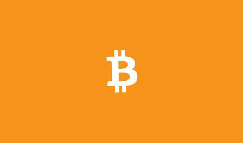 Bitcoin Insights