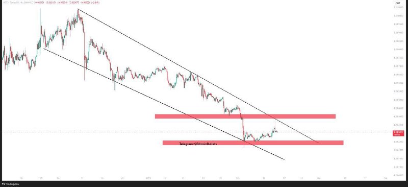 **$NOTUSDT** **Market Analysis**