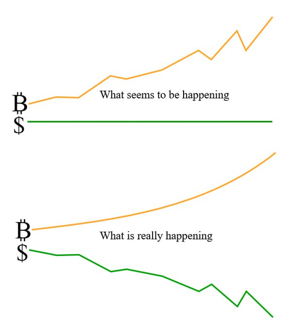 Bitcoin e Liberdade - Canal