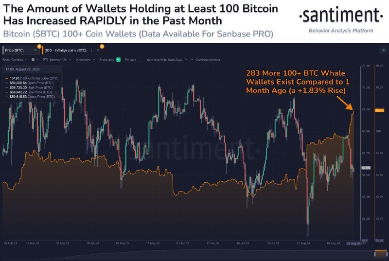 Bitcoin & Crypto News Italia ® …