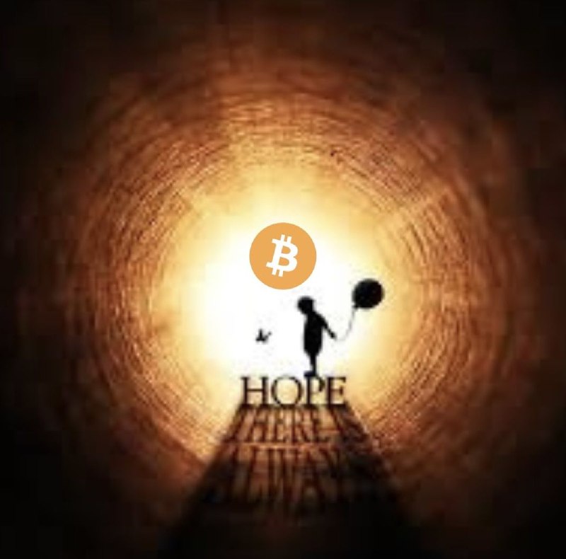 Bitcoin Meme Feed