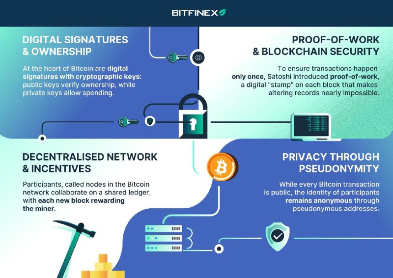 Bitfinex Vietnam Announcement