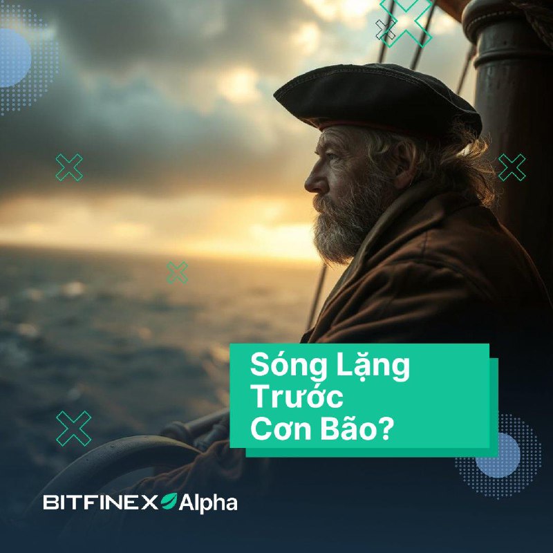 **[** [**#BitfinexAlpha**](?q=%23BitfinexAlpha) **129 ]