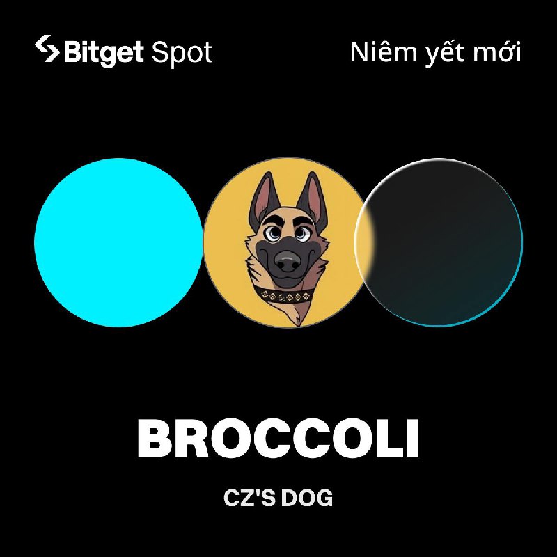 ***😜******😰******😅*** CZ'S DOG (BROCCOLI) chính thức …